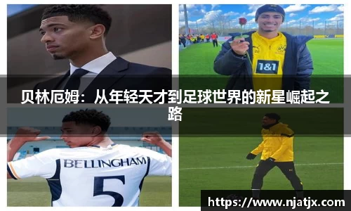 龙8国际官网