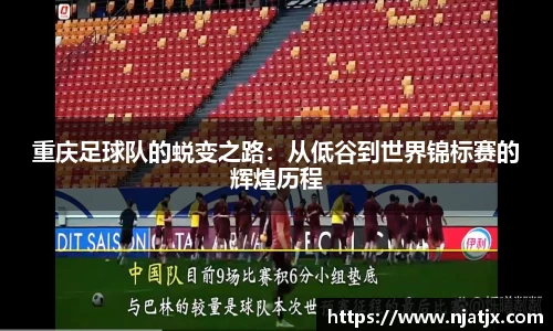 龙8国际
